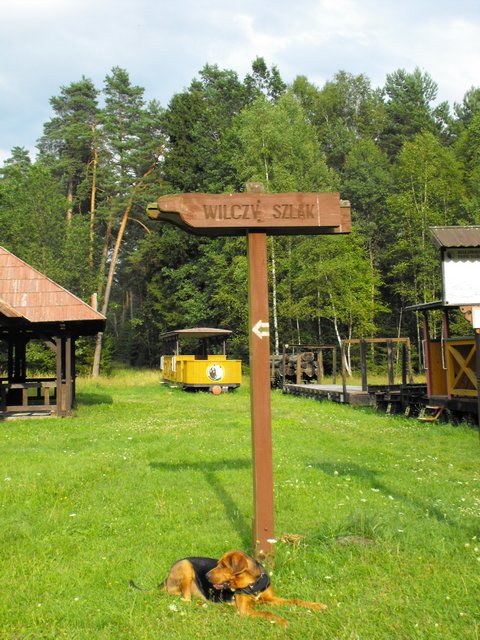 DSCF5310.JPG