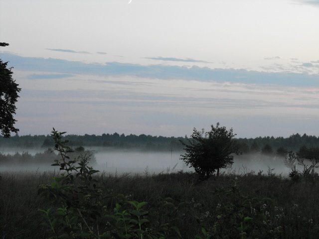 DSCF5046.JPG