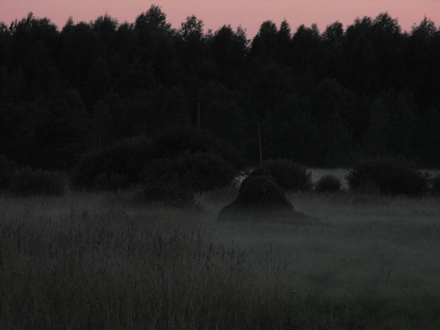 DSCF5085.JPG