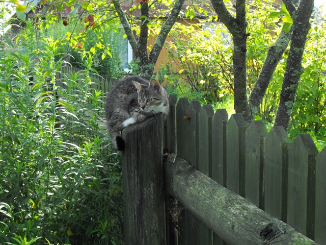 DSCF5351.JPG