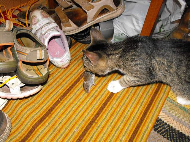 DSCF5348.JPG