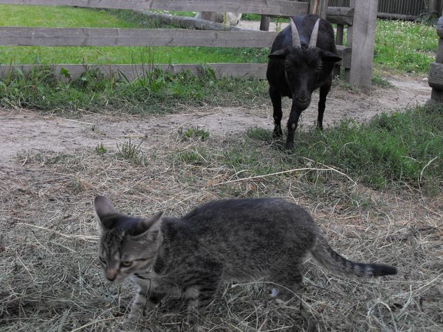DSCF5644.JPG