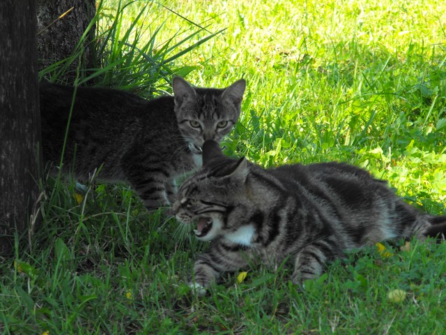 DSCF5540.JPG