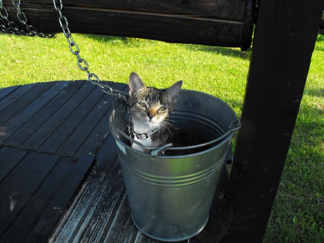 DSCF5691.JPG