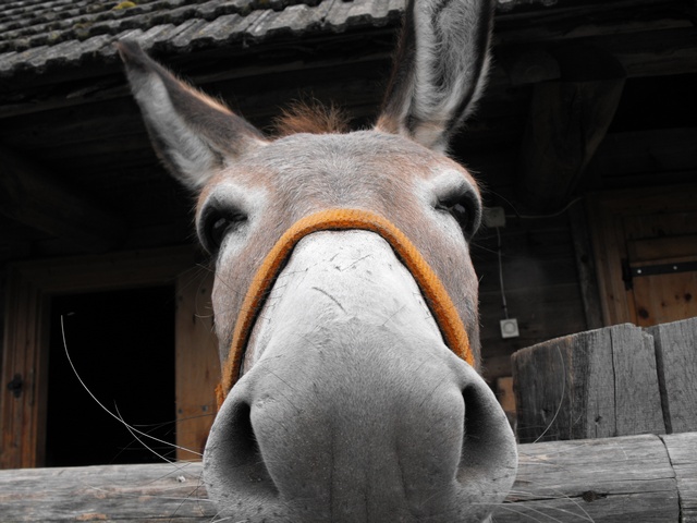 DSCF5763.JPG