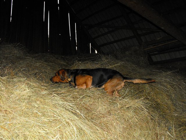 DSCF5439.JPG