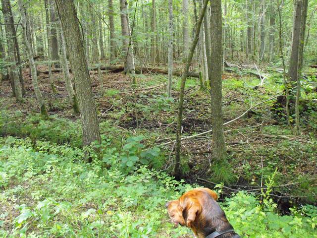 DSCF5315.JPG