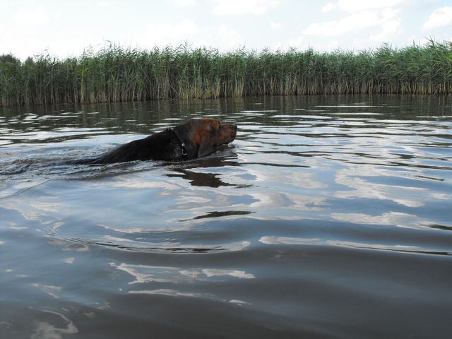 DSCF5493.JPG