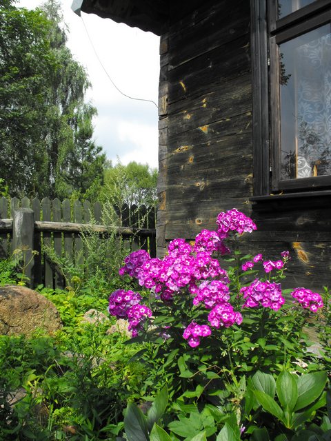 DSCF5820.JPG
