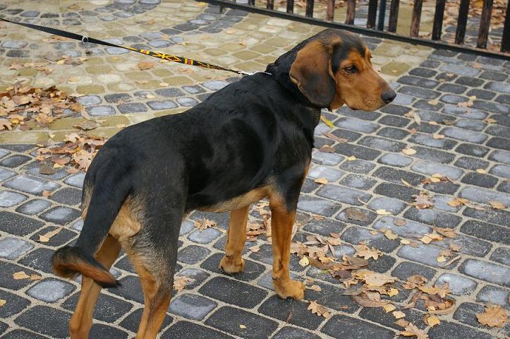 IMGP6219.JPG