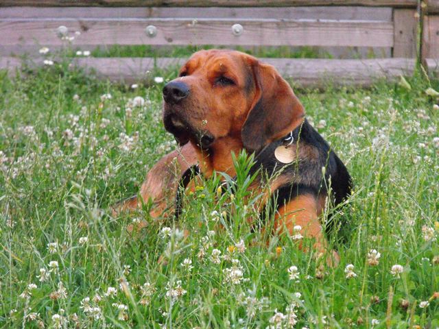 DSCF5136.JPG