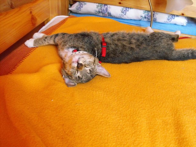 DSCF5264.JPG