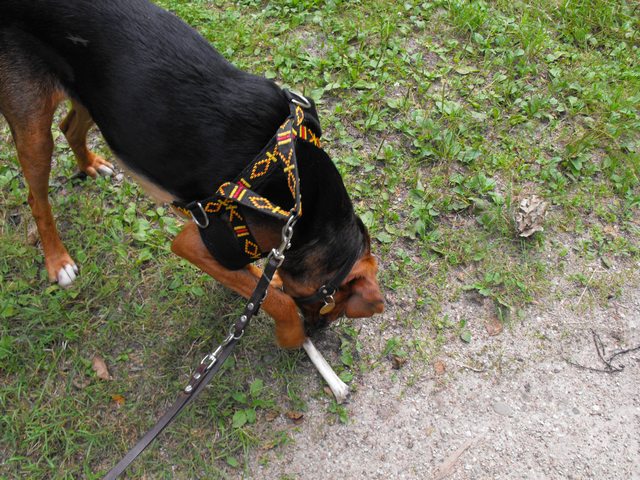 DSCF5313.JPG