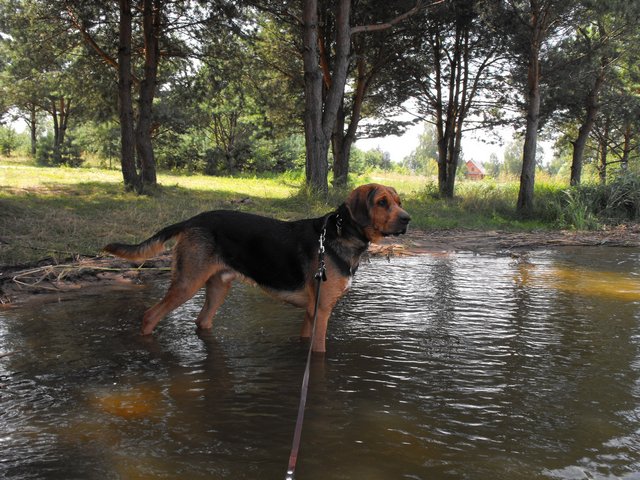 DSCF5480.JPG