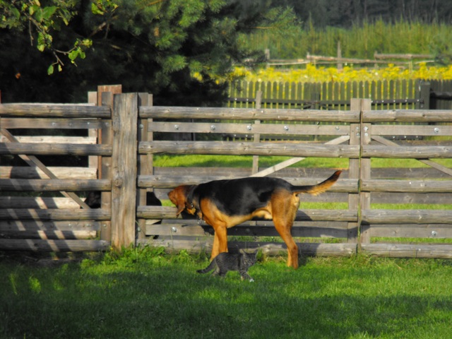 DSCF5638.JPG