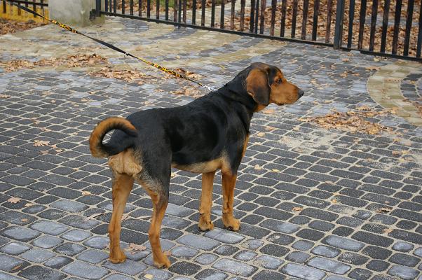 IMGP6217.JPG