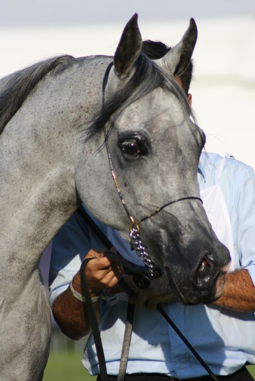 lato 2010 336.jpg