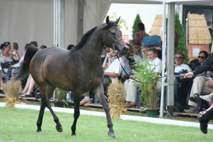 lato 2010 126.jpg