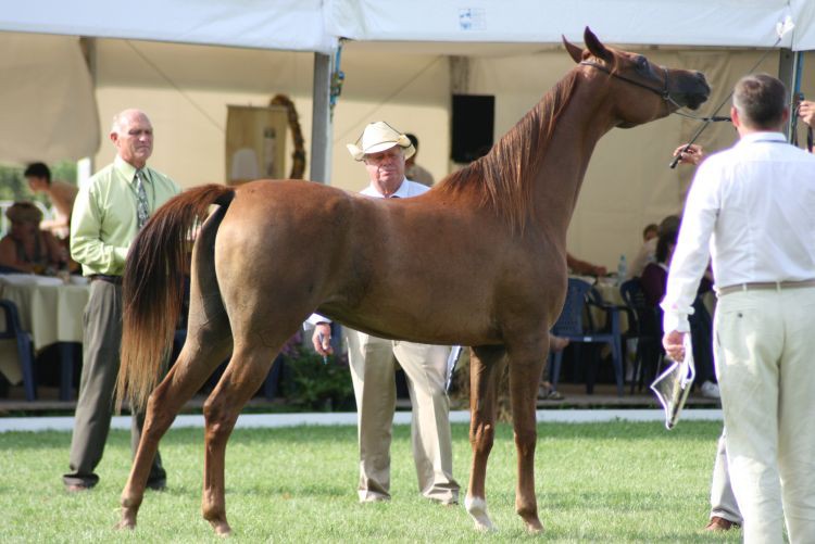lato 2010 218.jpg