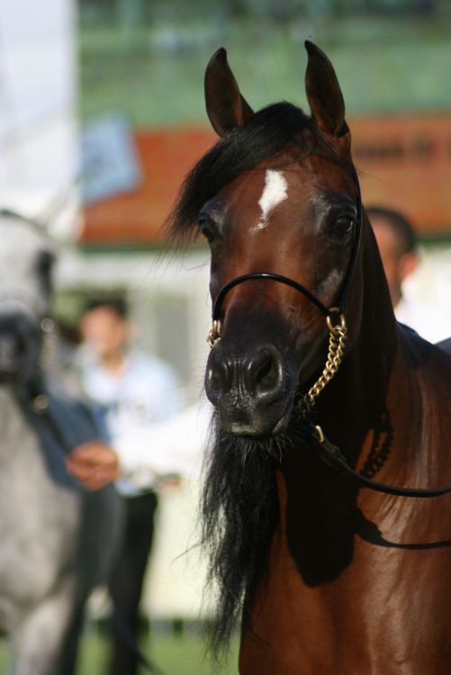 lato 2010 333.jpg