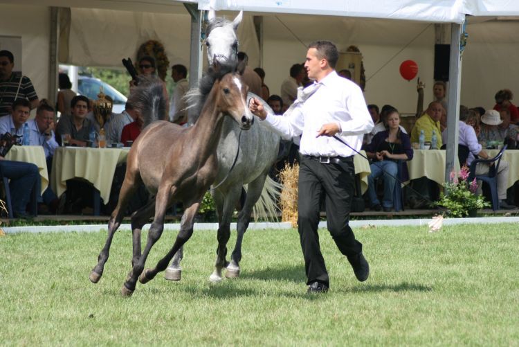lato 2010 387.jpg