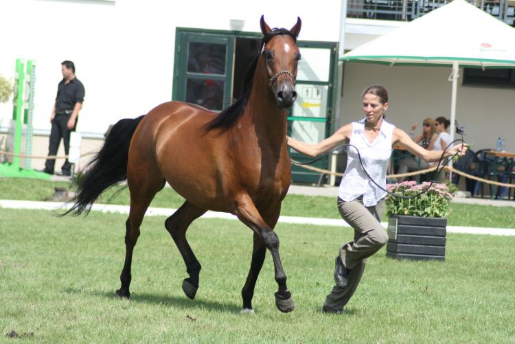 lato 2010 392.jpg