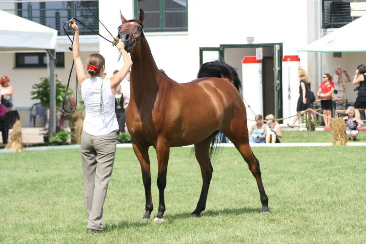 lato 2010 396.jpg