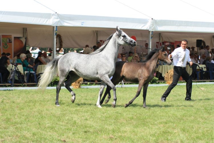 lato 2010 384.jpg
