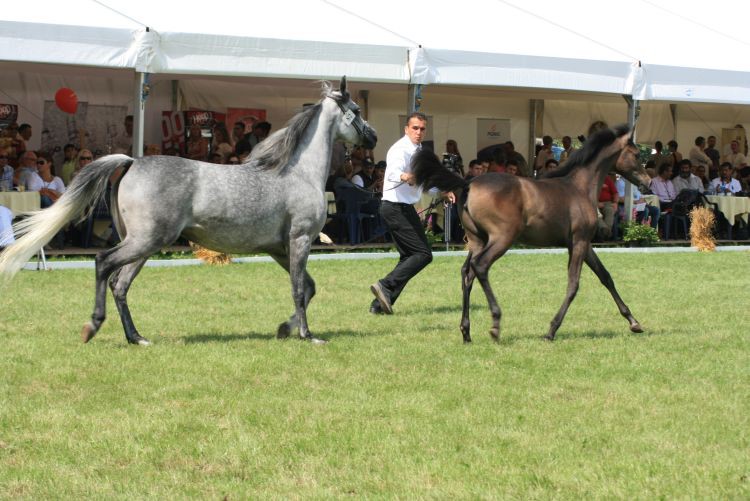 lato 2010 385.jpg