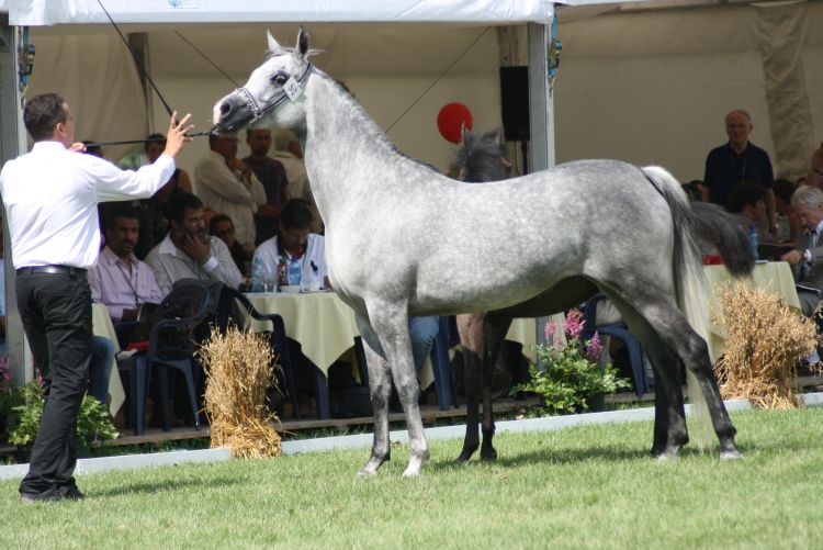 lato 2010 388.jpg