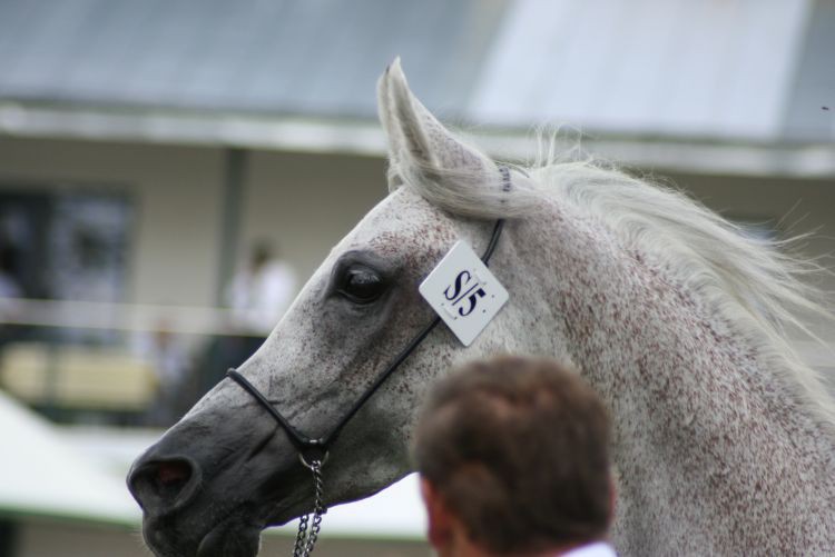 lato 2010 402.jpg