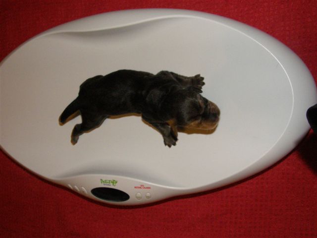 abo-fiordy  1dzień 015.jpg