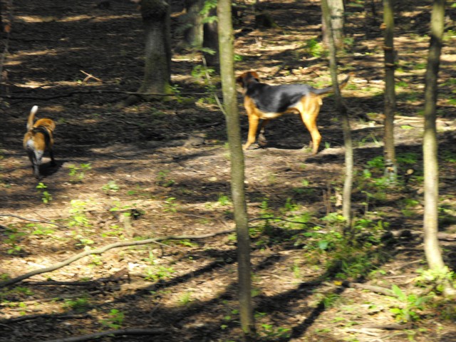 DSCF5067.JPG