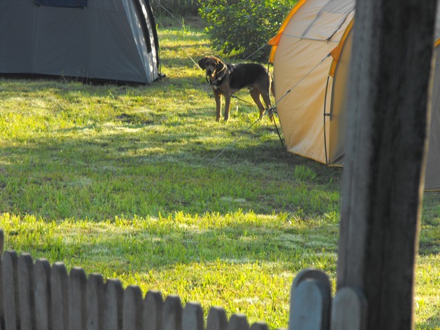 DSCF5091.JPG