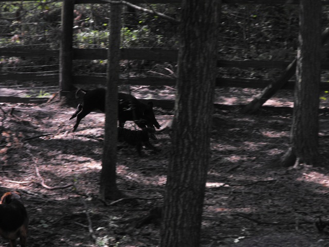DSCF5100.JPG
