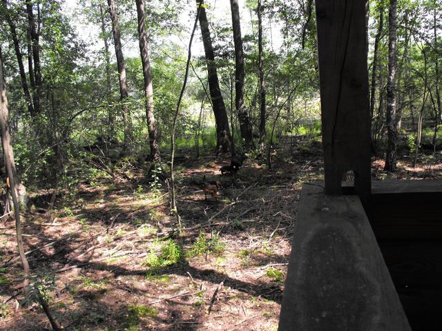 DSCF5128.JPG