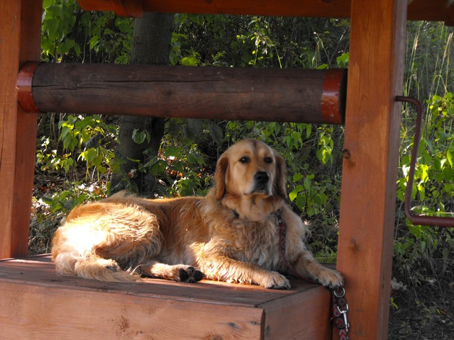 DSCF5124.JPG