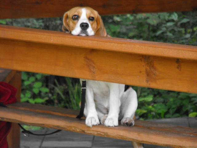 DSCF5187.JPG