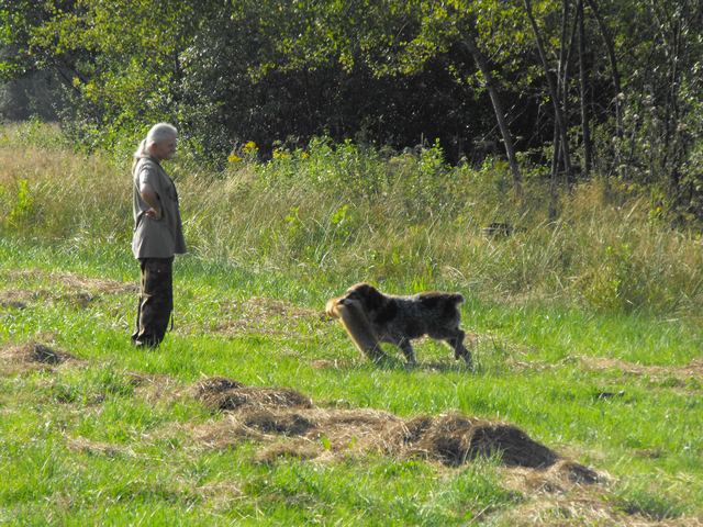 DSCF5153.JPG
