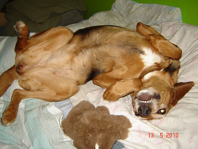 DSC03227.JPG