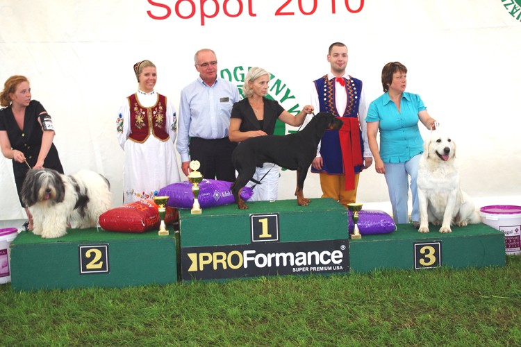 Podium.jpg