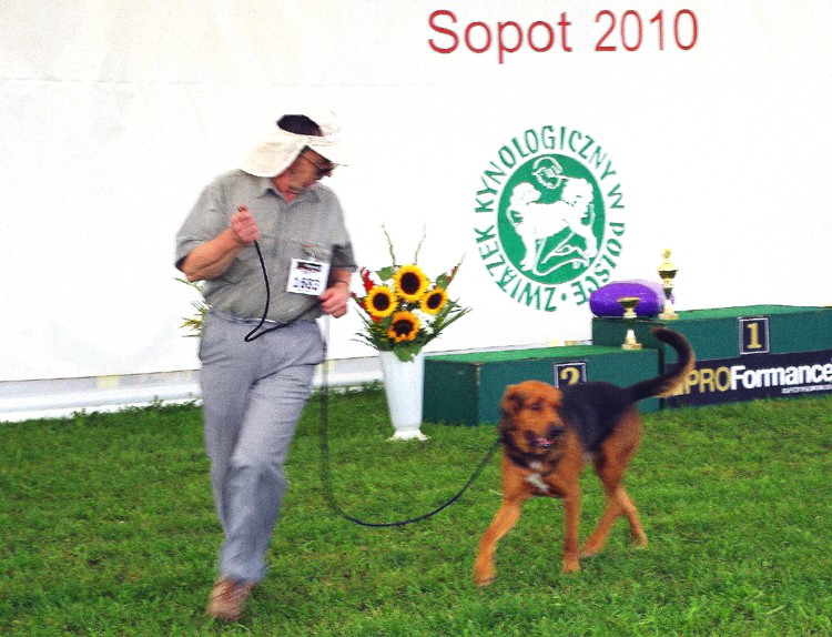 piąty.jpg