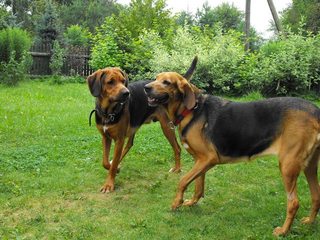 DSCF5816.JPG