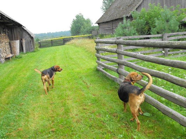 DSCF5786.JPG