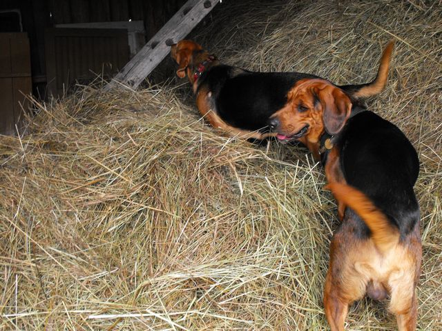 DSCF5789.JPG