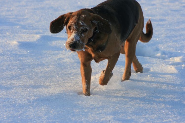 zima 2009 055.jpg