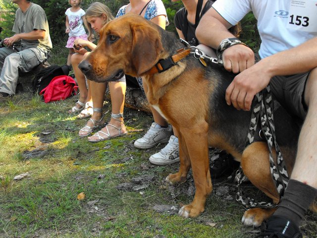 DSCF5238.JPG