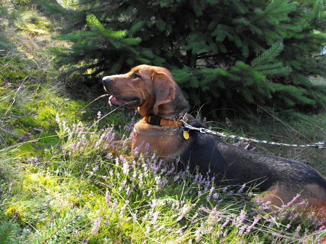 DSCF5239.JPG