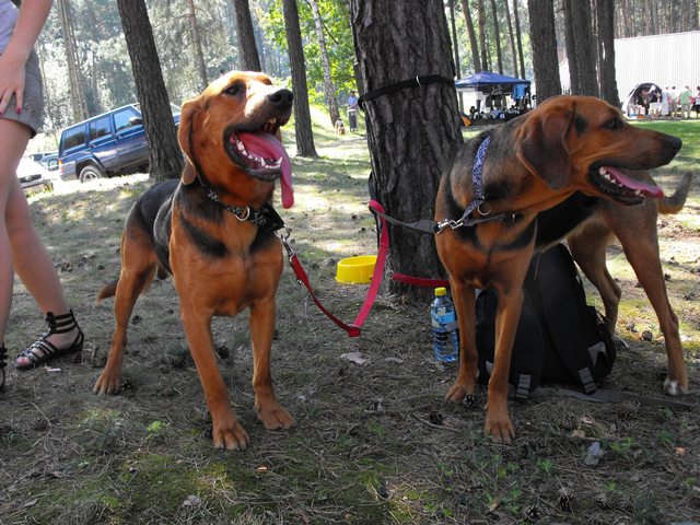 DSCF5240.JPG