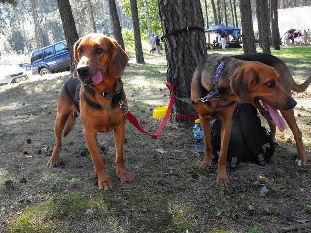 DSCF5241.JPG